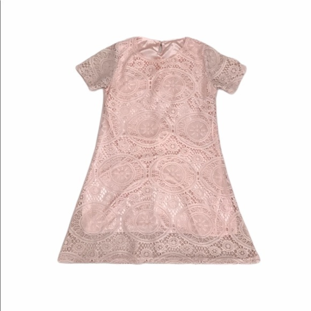 Pink Lace Mini Dress